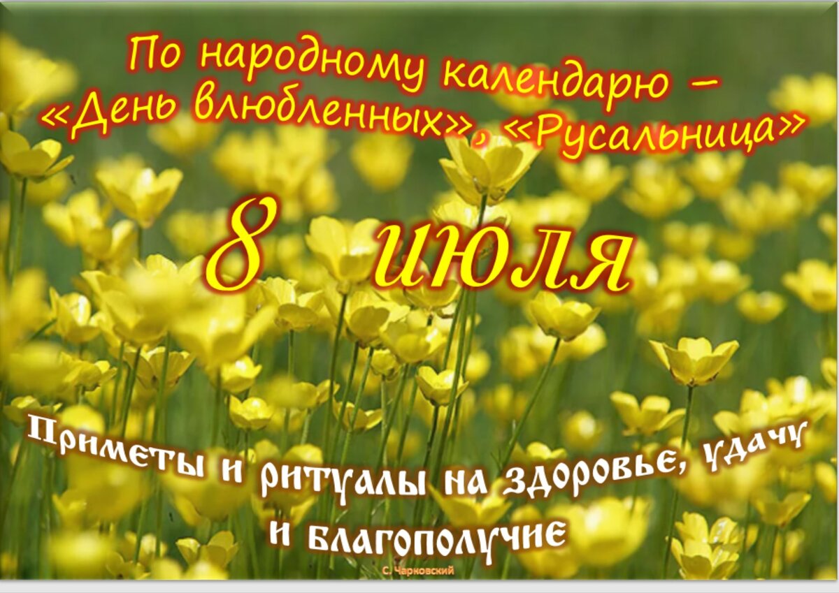 8 июля - Приметы, обычаи и ритуалы, традиции и поверья дня. Все праздники  дня во всех календарях. | Сергей Чарковский Все праздники | Дзен