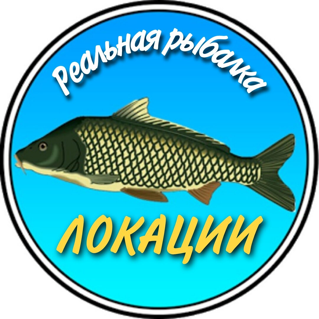 Рыбалка на реке Волга - лучшие места, секреты и опытные рекомендации