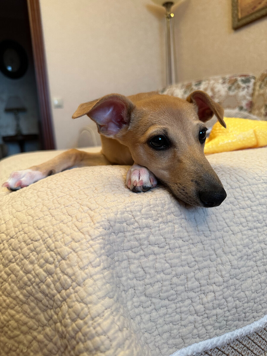 И как ей противостоять?