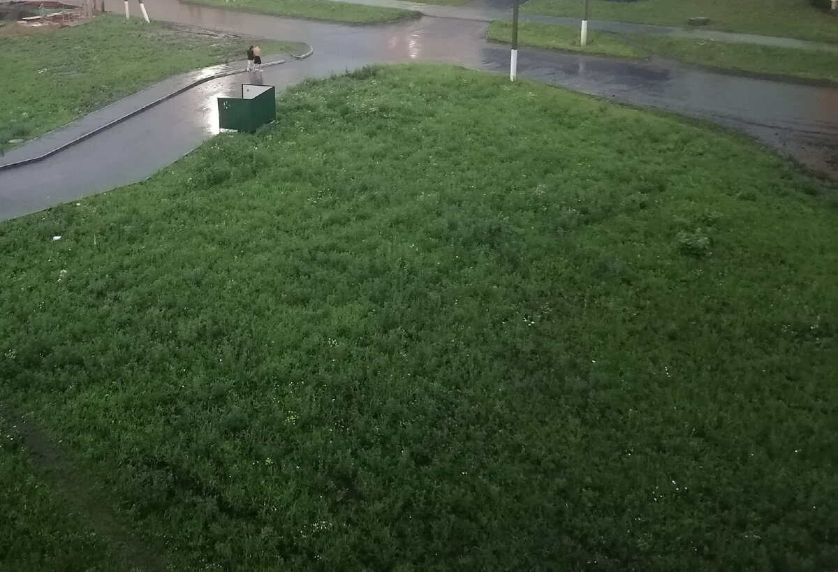 Сын уехал, посудомойку заказала, старую стиралку почти продала ...