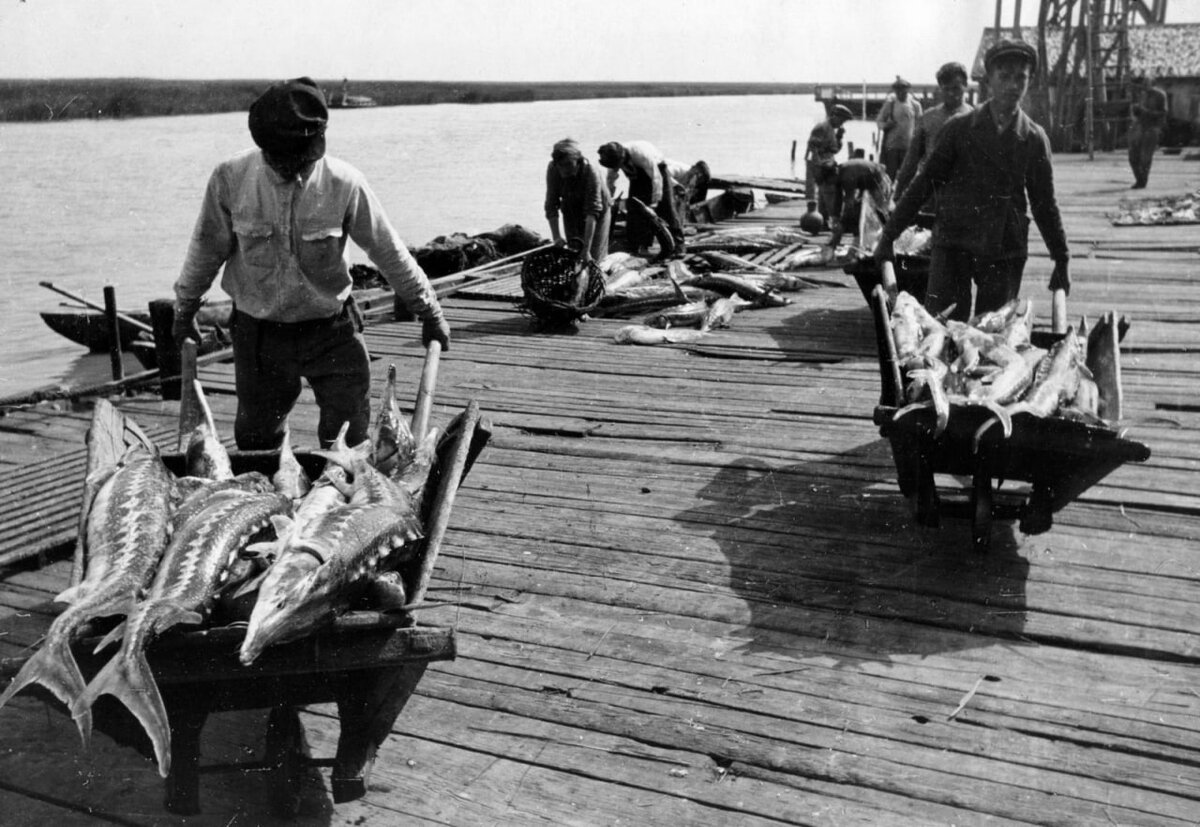 азовское море 40 лет назад