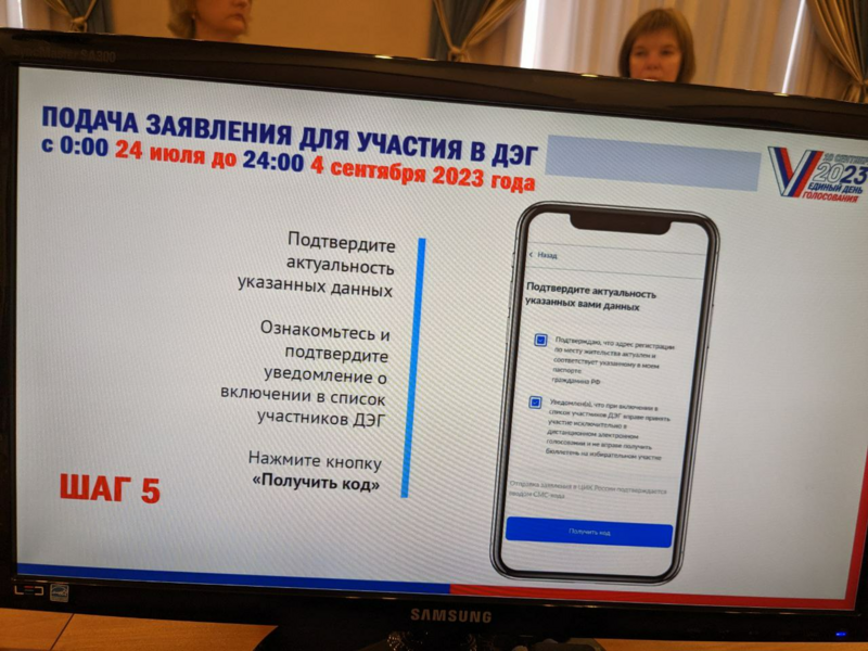 Как проголосовать без заявления. Электронное голосование для презентации. Терминал электронного голосования.