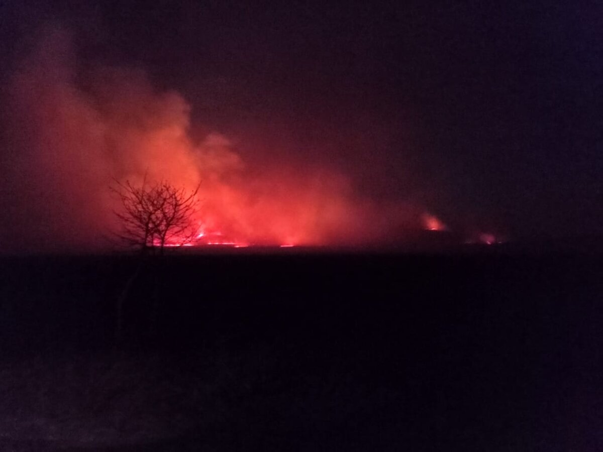 Фото: предоставлено автором