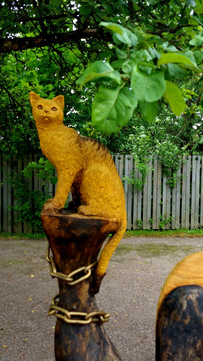 Замечательный учёный котик.