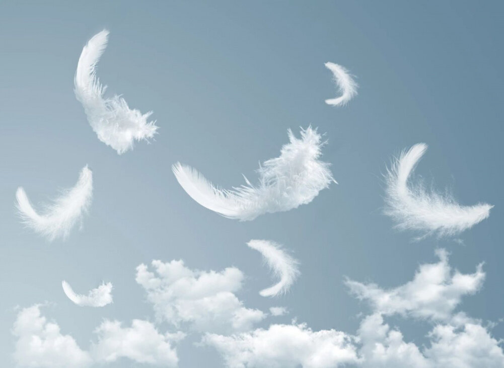 Картинка свободный доступ интернета.