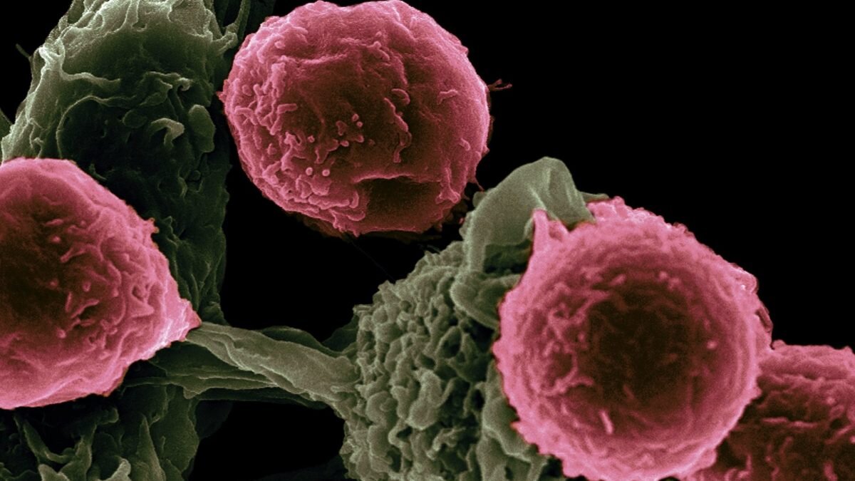    Фото: Unsplash Август Макаров