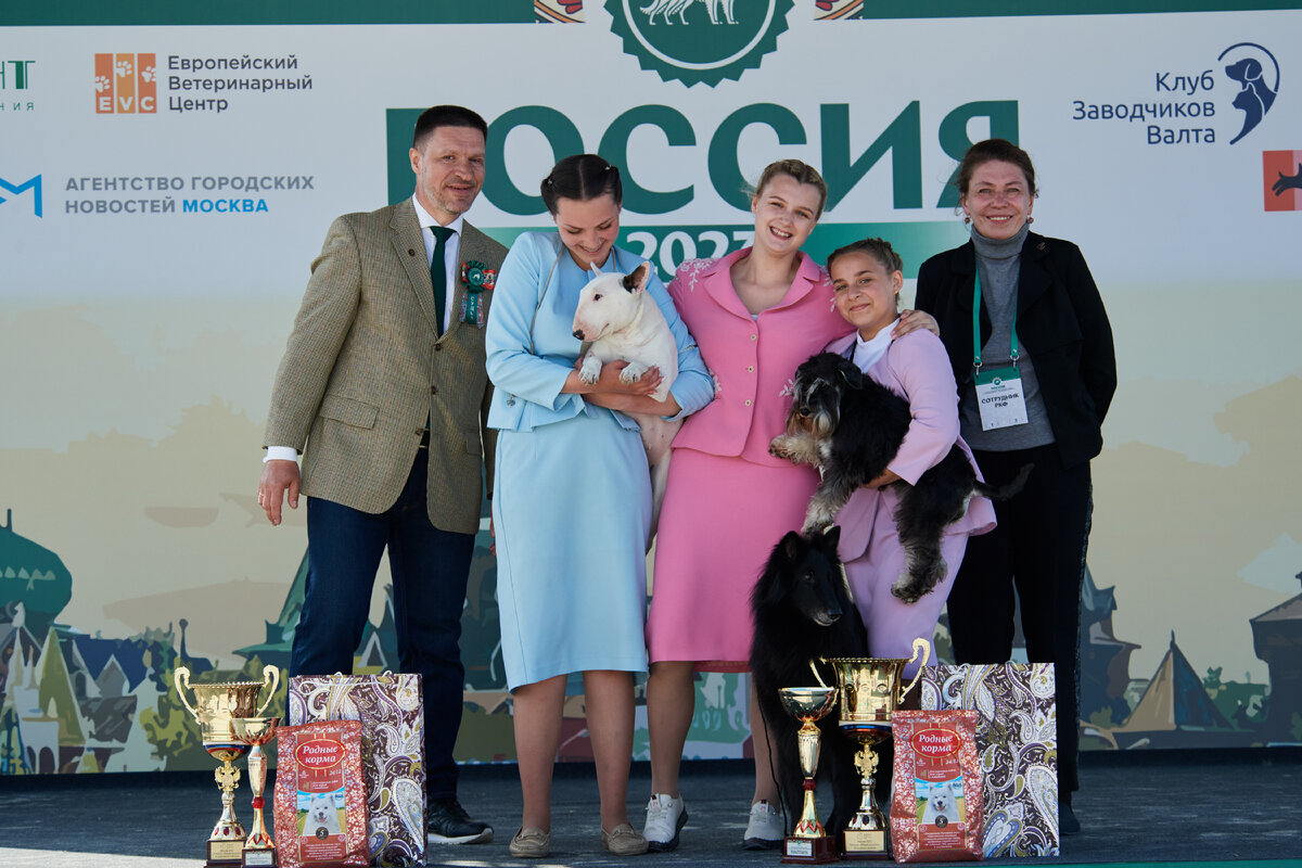 Выставка собак ркф 2025. Выставка собак ркф 2025