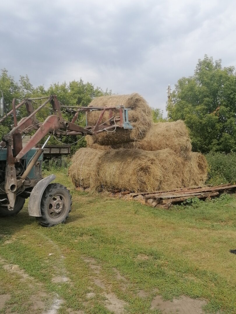 У тётушки в деревне