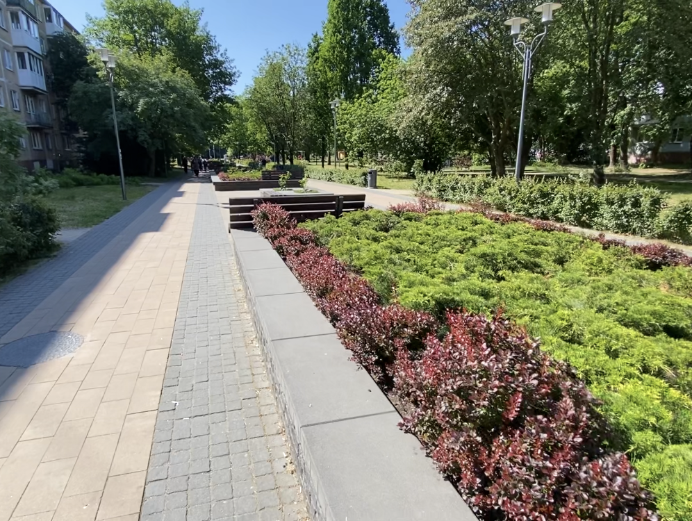 Фото автора.