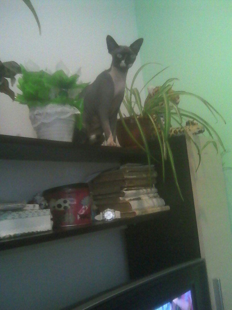 Фото из домашнего архива