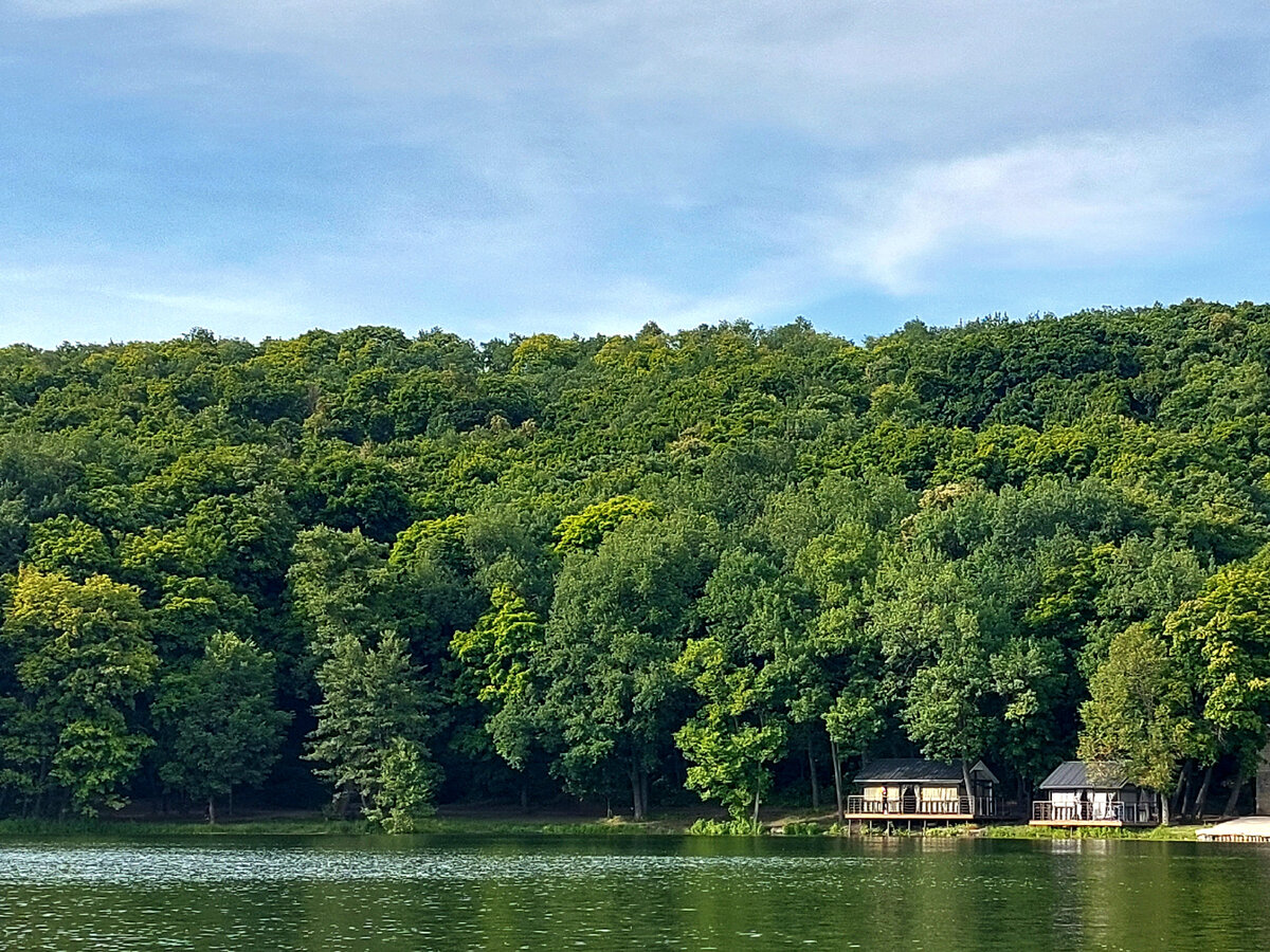 Фото с прогулки к пруду