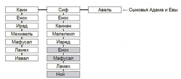 На ком женились сыновья адама и евы