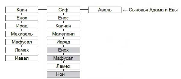 Сыновья адама. Родословная Адама и Евы. Генеалогическое Древо Адама и Евы. Родословная Адама и Евы схема. Родословие от Адама до ноя.