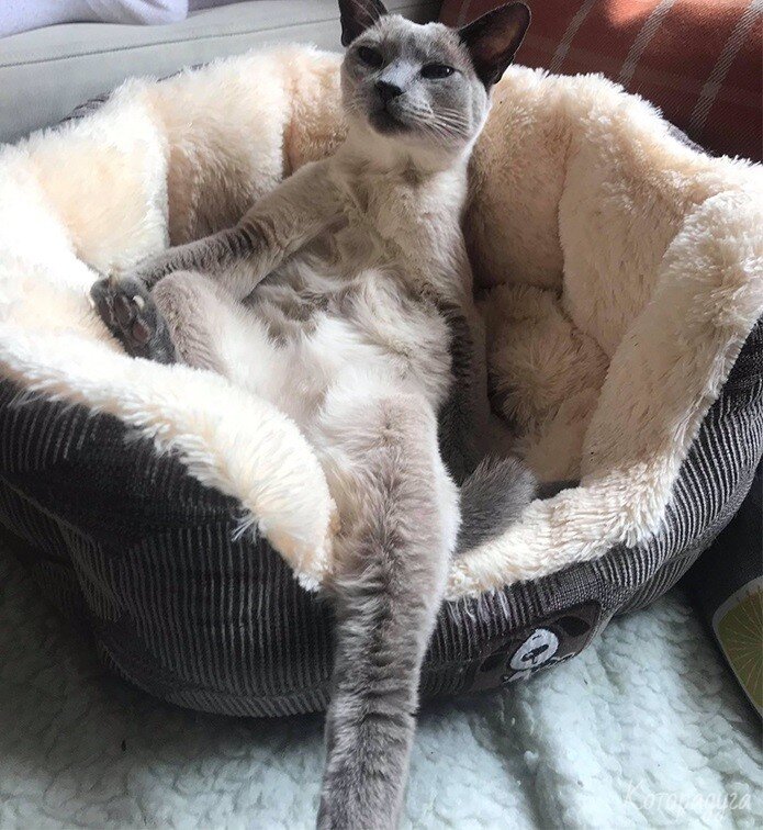 Источник: pinterest.com