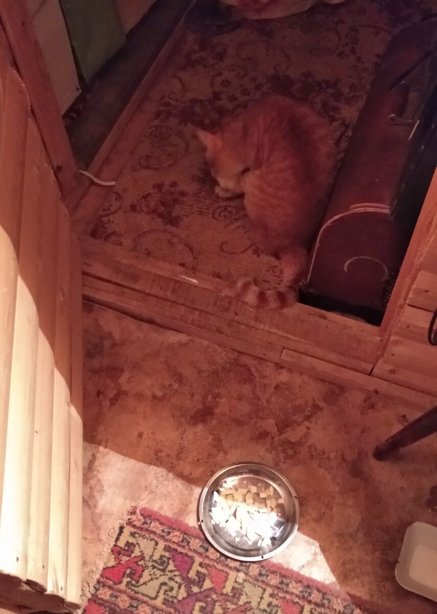 Личное  фото.