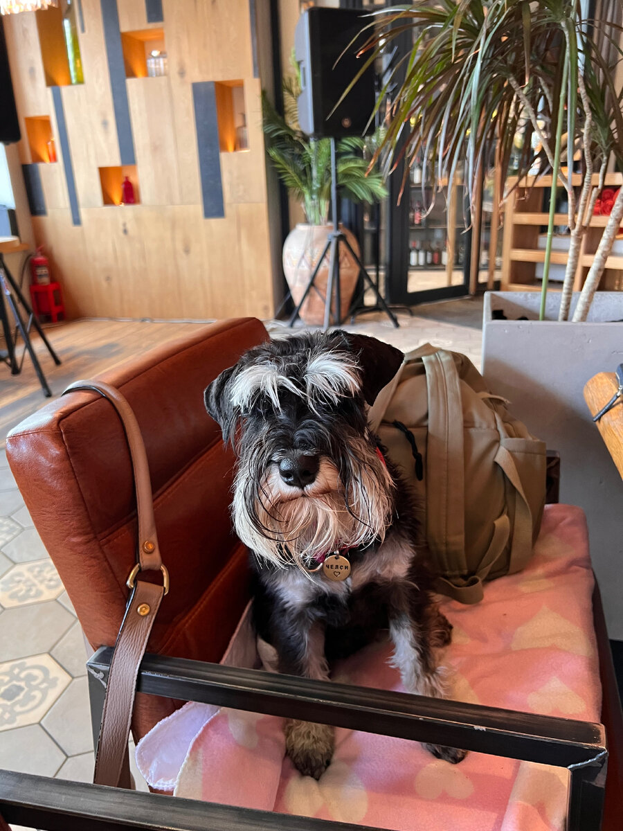 Ресторан грузинской кухни «Дади»