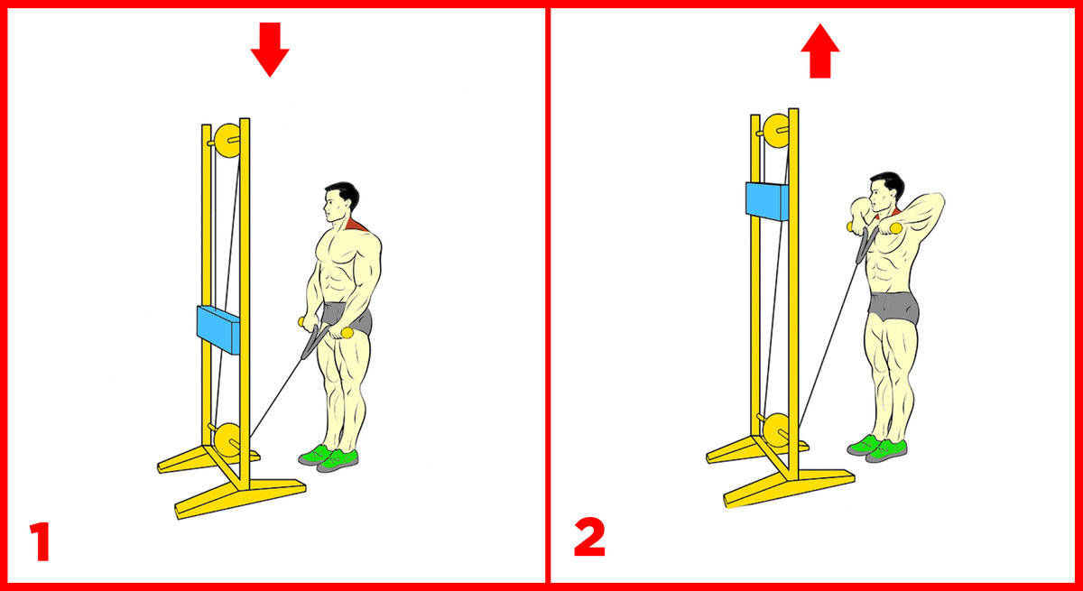 Рисование схем в word. Как сделать схему в воде. Как создать таблицу схему в ворде. Как создать рисунок схему в ворде. Как построить схему.