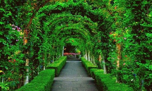 Вертикальные сады