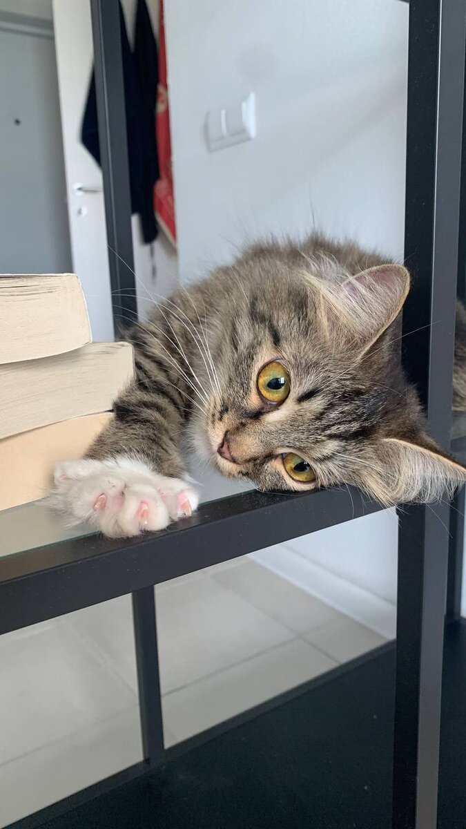 Кисточка с нами согласна