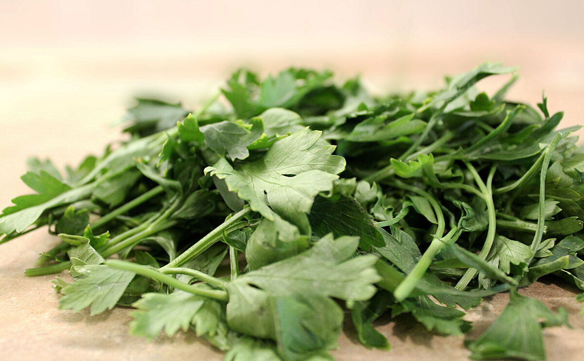 Кинза кудрявая. Aachi петрушка (parsley) 20 г. Полезная петрушка кипятком. Парни не могут отличить кинзу от петрушки.