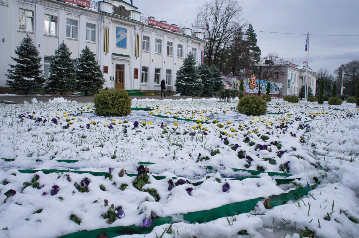Вот такая зима на Кубани