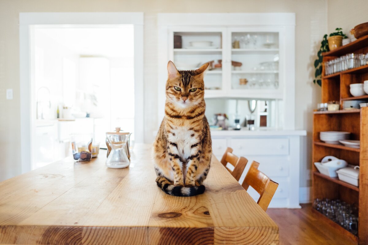 
Источник  фото: www.unsplash.com