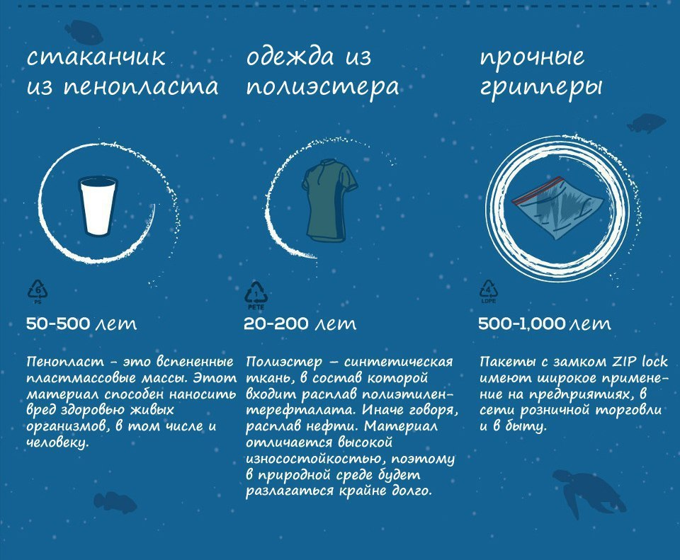 Сколько разлагаются семечки