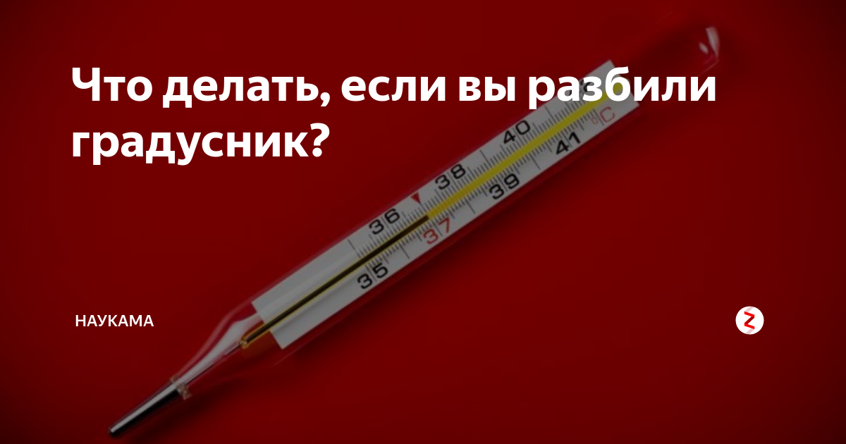 Сон разбитый градусник. Градусник для колбасы. Прикольный градусник. Интересные факты про градусник. Ртуть в градуснике.