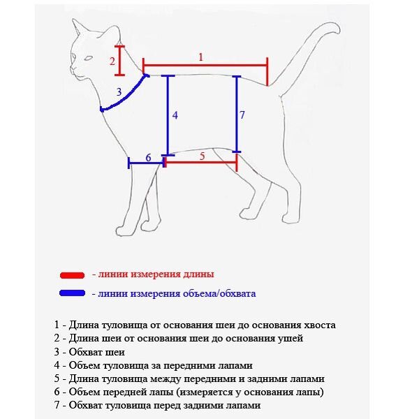 Наряд для кота: как выбрать или сшить самому