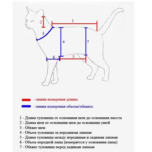 Пошив одежды для животных в Санкт-Петербурге — 20 портных, отзывы на Профи