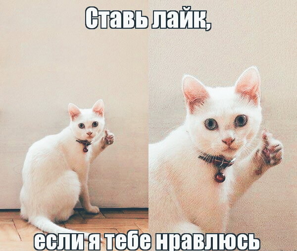 Не пропусти ни одной статьи! 