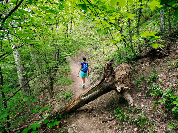 Восхождение по Боткинской тропе. Фото Krym.livejournal.com
