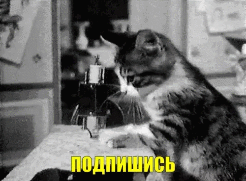 -3