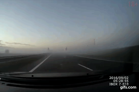 Если анимация стоит на месте, то подождите некоторое время, пока она загрузится