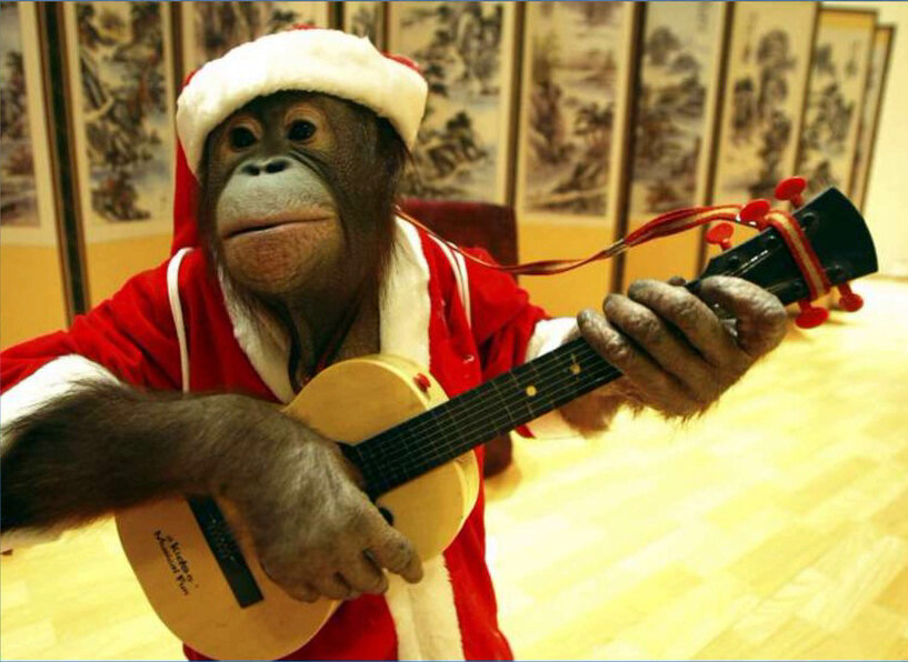 Фото с ресурса Яндекс-картинки.