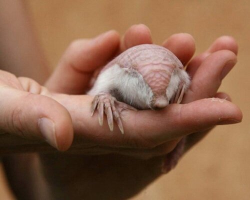 Простите, вы не видели мои очки?