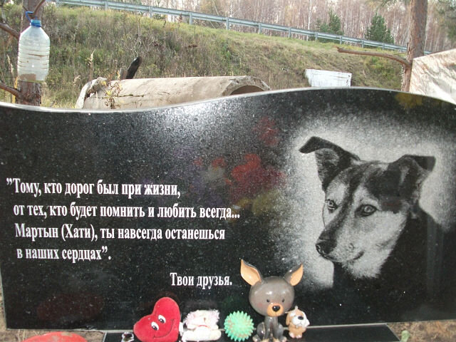 Какая душа у собаки. Надпись на памятнике собаке. Надпись на надгробие собаке. Трогательные надписи на памятниках собак. В память о собаке.