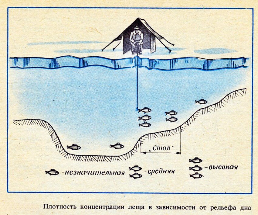 Ловля леща на водохранилище