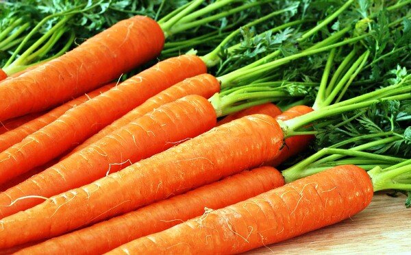 Сорта моркови для зимнего хранения для Сибири