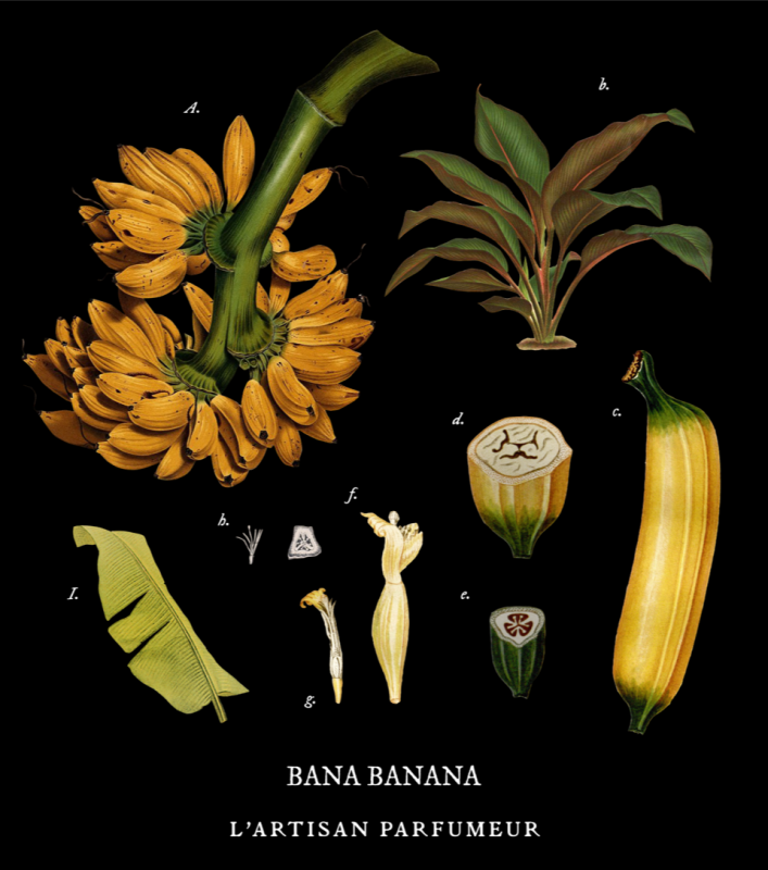 Bana Banana L'Artisan Parfumeur