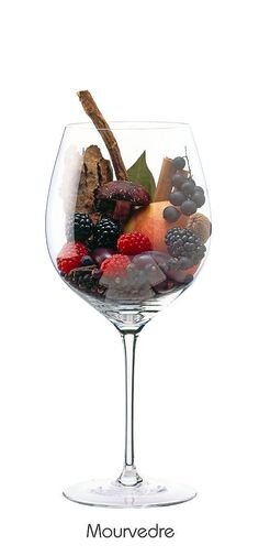 Типичные ноты сорта: Ежевика, Черная смородина, Слива, Персик, Малина, Гриб, Кора, Солодка, Гвоздика, Черный перец, Корица, Лавровый лист, Мускатный орех