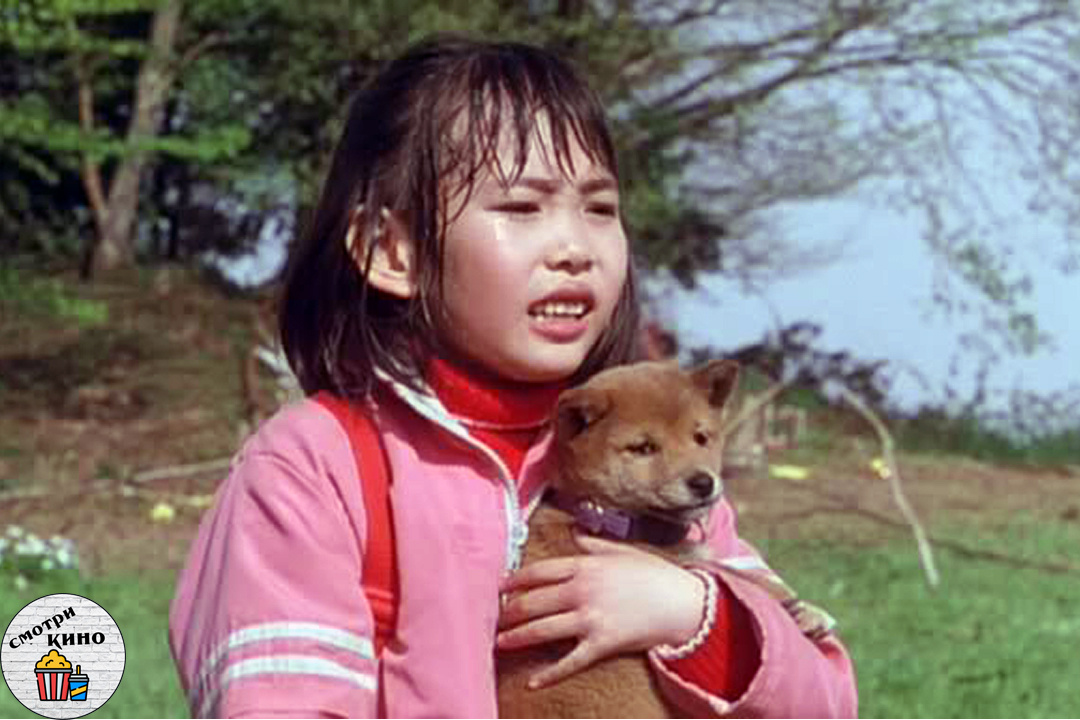 История мари и трех щенков. Марии и 3 щенка. История мари и трех щенков. Мари и три щенка. Мари и три щенка.