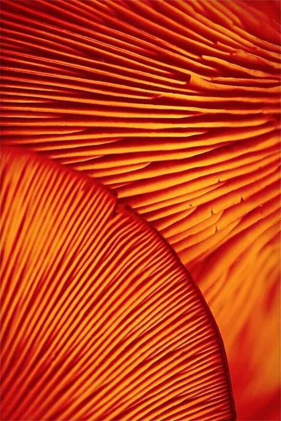 День отъезда наступил. Все должны были собраться в аэропорту. Перелёт предстоял неблизкий. Профессор добрался до аэропорта сам, Надю, конечно же, привёз Пётр, который в такси всю дорогу теребил её руку и не спускал с Надежды глаз: его взгляд, как у потерянного, растерянного щенка, мог вызывать жалость у камня, но Надя не обращала на него никакого внимания. Её мысли были заняты новым, неизведанным. Куда они полетят? Ч то значит, оказаться на огромной высоте в самолёте, этой огромной стальной птицы, парящей в небе? Что будет там, куда они летят? Слишком много вопросов роилось в её быстроразвивающемся синтезированном мозгу, и в нём не было на них ответов, как и места для Петра. 