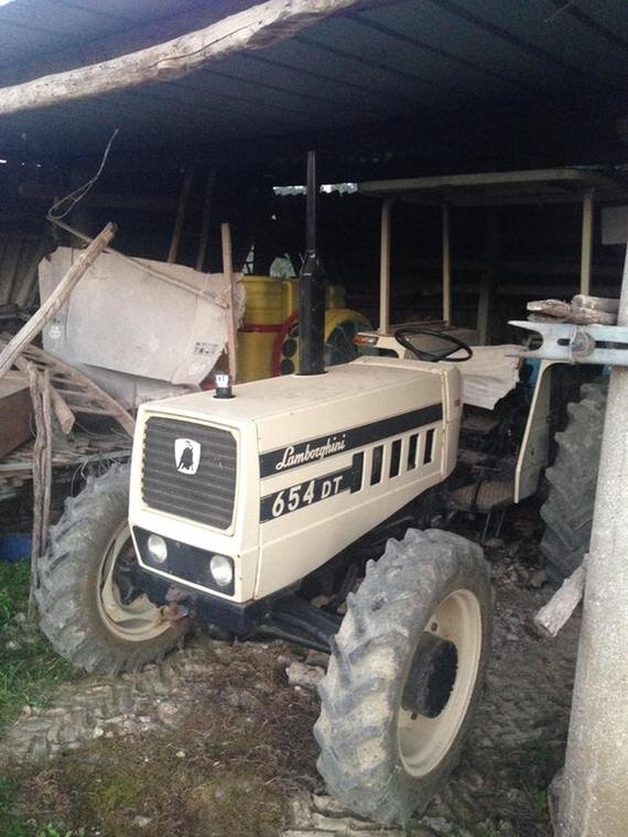 Моя красавица