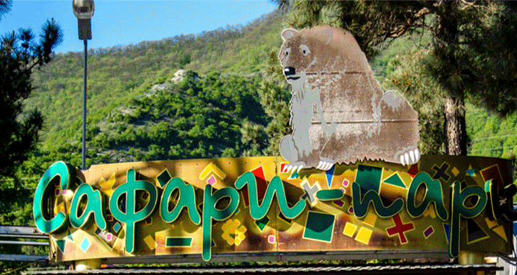 Фото из открытых источников.