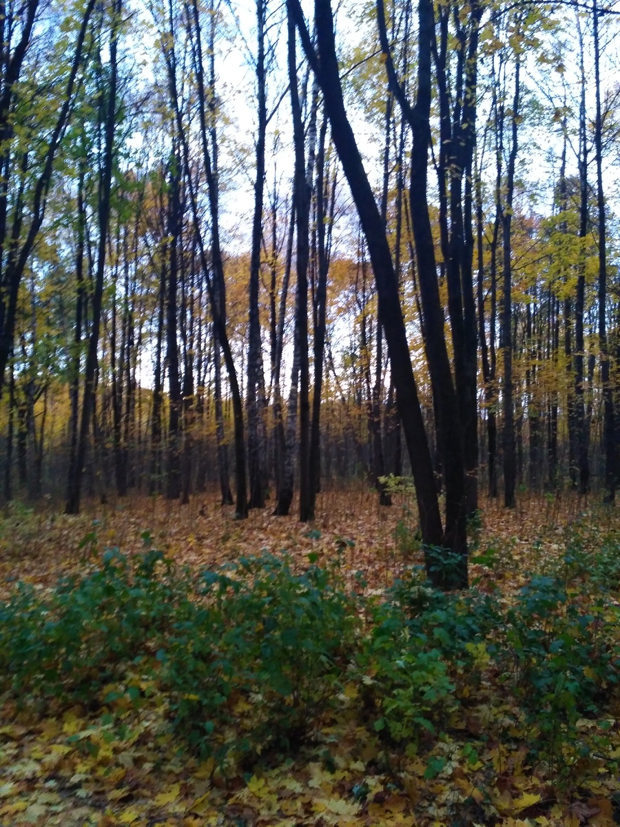 Личное фото Битца