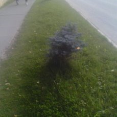 Случайно познакомилась вчера с парнем. Очень худой, сутулый, застенчивый, но с удивительно светлыми глазами. Нам было по пути. Потихоньку разговорились, и я узнала, что он - сирота, получил маленькую комнатку в нашем городе, которую ремонтирует сам с утра до ночи, знакомых практически нет, девушка от него ушла к другому. Так он и живёт совсем один.
Нас застал ливень, поэтому время было поговорить о жизни. Он был рад, что можно не идти домой и остаться вместе с кем-то, под крышей пережидая дождь. Он снял с себя кофту и накинул на меня, чтоб я не замёрзла, и рассказывал мне, как мечтает научиться кататься на лошадях, как в детстве ему повезло поиграть на пианино где-то в местной библиотеке, как он любит бродить по городу, когда выдаётся немного времени, и замечать столько всего интересного вокруг... а я думала - как же мне повезло встретить этого человека!.. Ведь он лучше многих, избалованных судьбой, он чище, добрее, в нём есть такая простота и достоинство, которые сейчас редко встретишь в людях.
На предложение обменяться контактами он радостно согласился и так как телефон оставил дома, продиктовал мне свой номер. Я набрала и слыша длинные гудки пошутила: "что-то никто не берет трубку", на что он ответил: "значит это мой"...