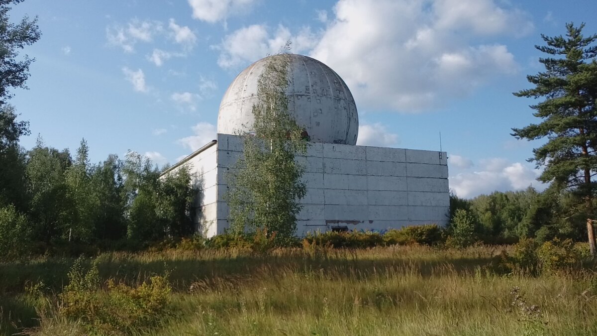 Фото автора. Август 2019 г. 