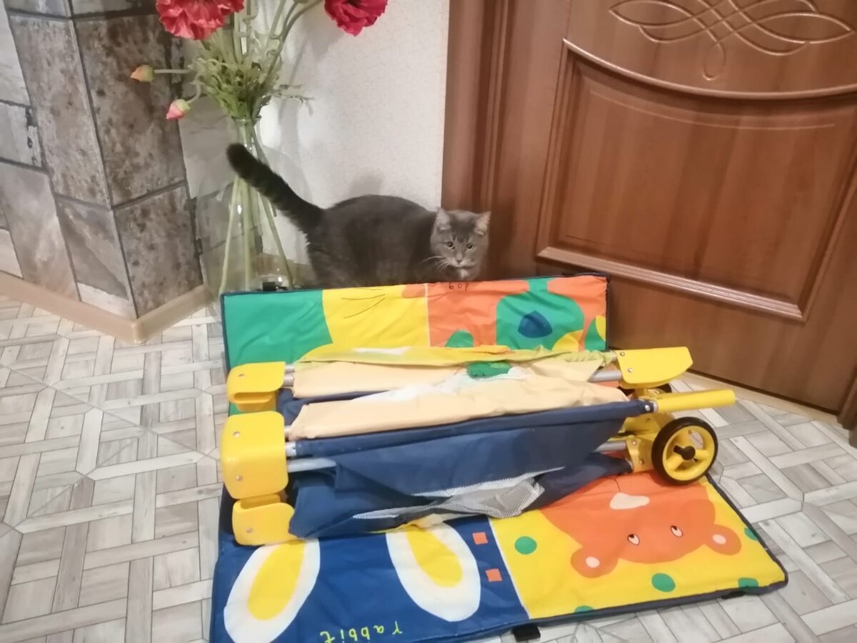 Буся всегда изучает то, что мы приобрели для Таисии 