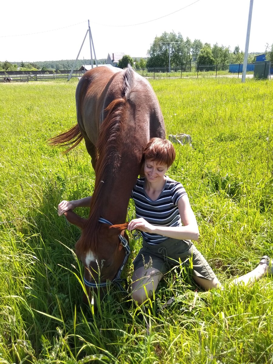 Фото мое, лошадь моя) 